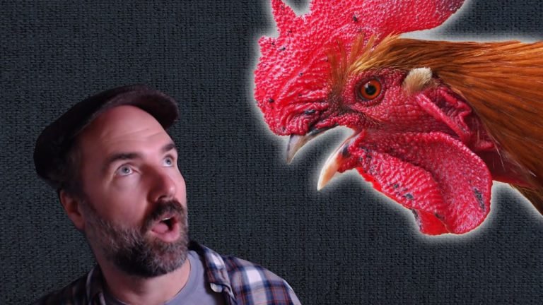 Is Big Chicken a Symbol of the Anthropocene?