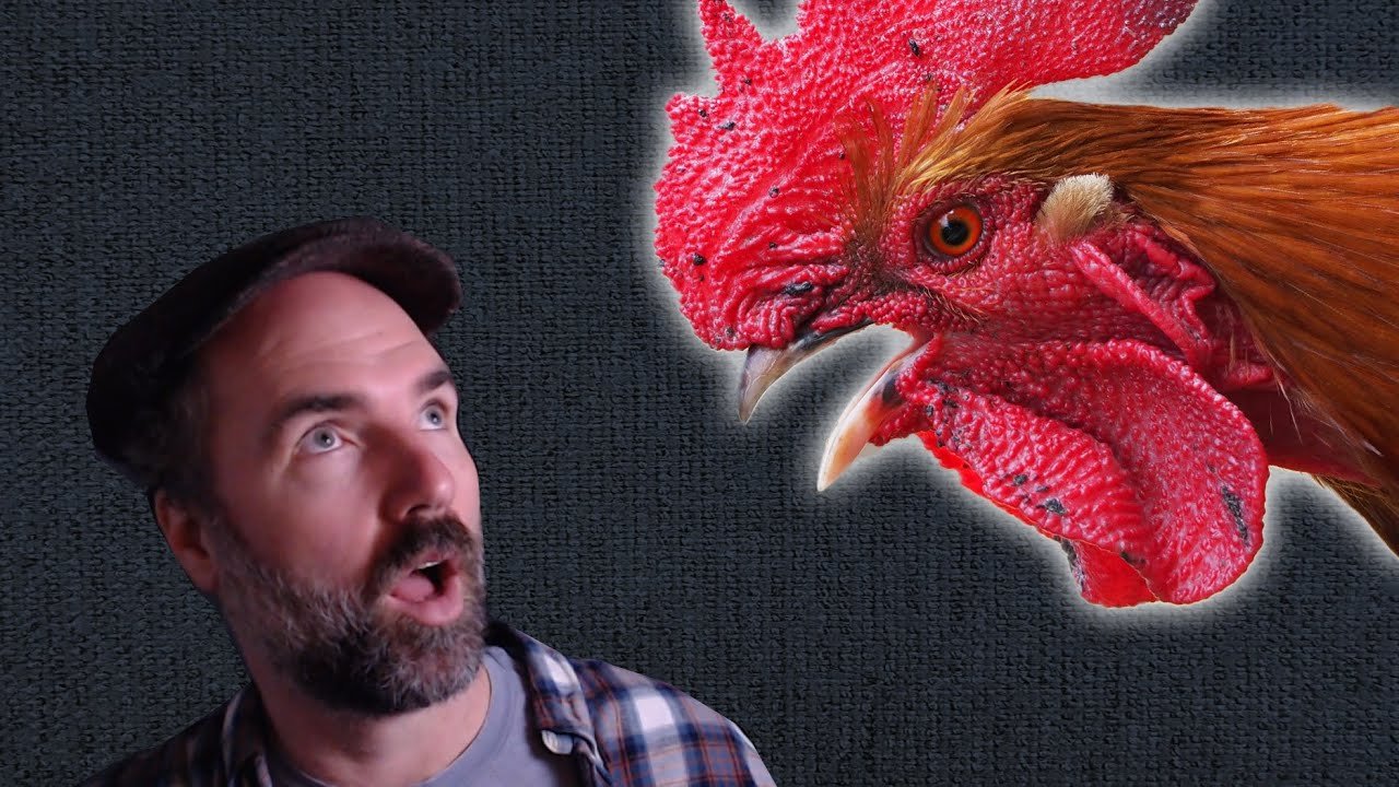 Is Big Chicken a Symbol of the Anthropocene?