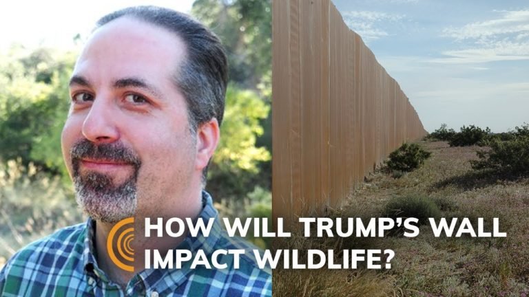 Trump’s Border Wall and the Environment with Journalist John Platt