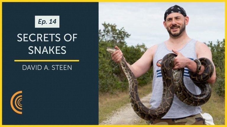 The Secrets of Snakes with Wildlife Biologist David Steen