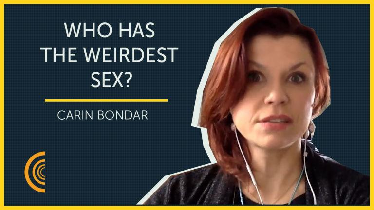 Which Animals Have the Weirdest Sex?