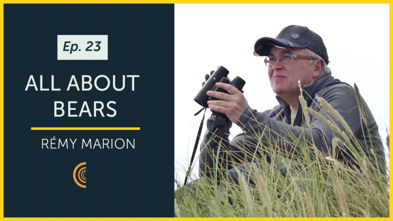 All About Bears with Author & Filmmaker Rémy Marion