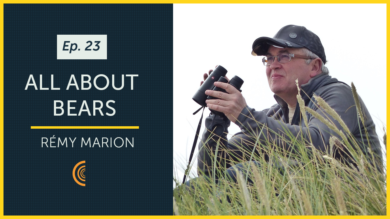 All About Bears with Author & Filmmaker Rémy Marion