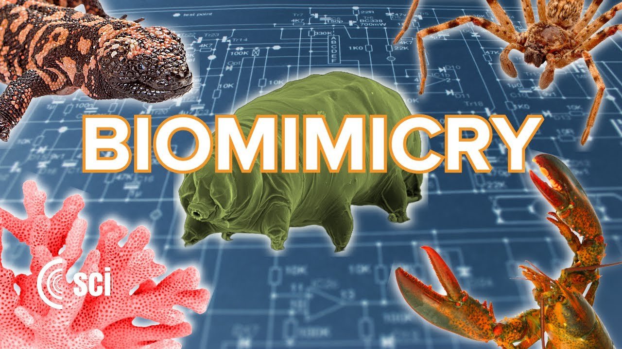Biomimicry: 5 Amazing Creations Inspired by Nature