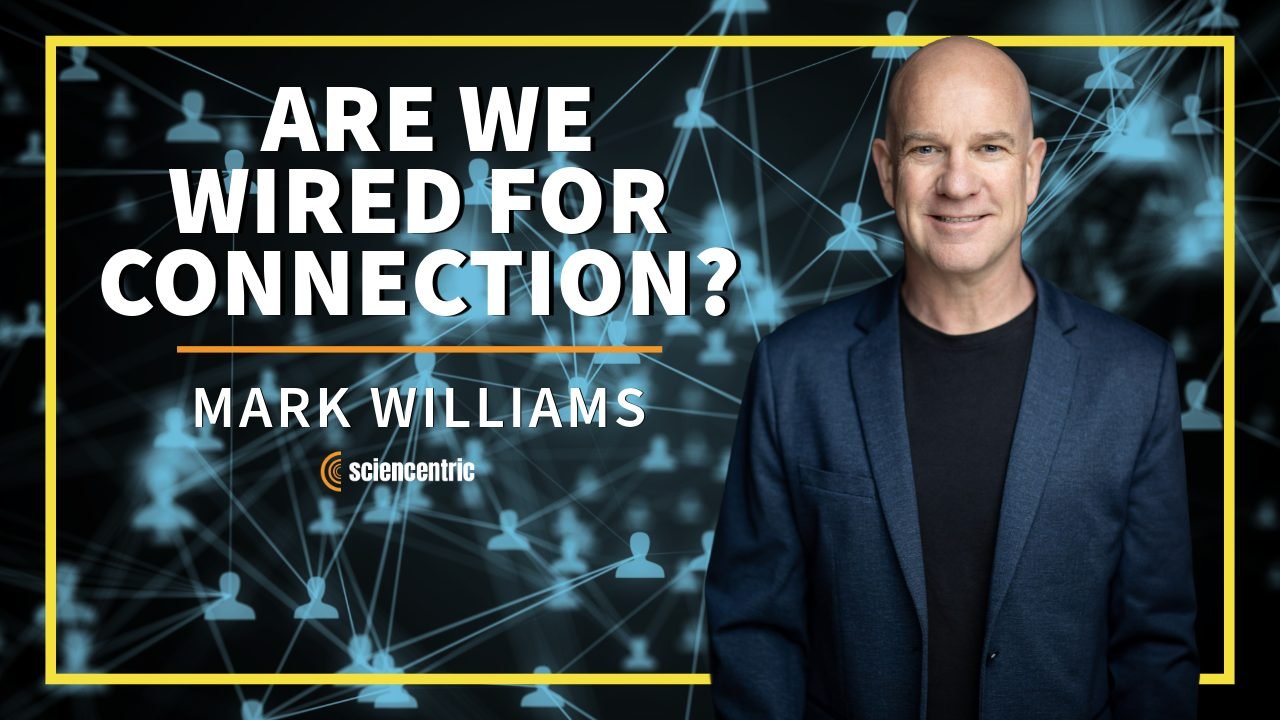 Exploring the Human Need for Connection with Neuroscientist Mark Williams